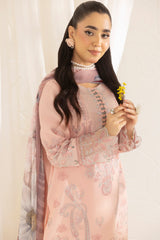 ZB-02 STITCHED I UNSTITCHED