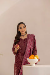 DZP-06 3PC DHANAK PRINTED