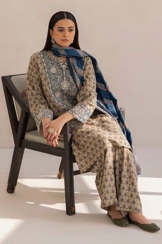 DZP-12 3PC DHANAK PRINTED