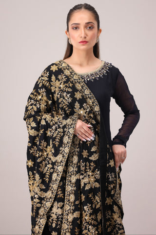 MDS-102 DHANAK EMBROIDERED SHAWL