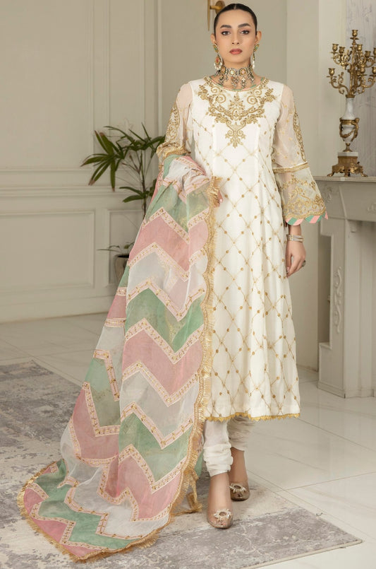 Buy Embroidered Chiffon Dresses For Women Online In Pakistan – Mohagni