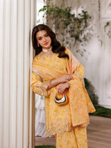 ZC-10 3 PC STITCHED | UNSTITCHED